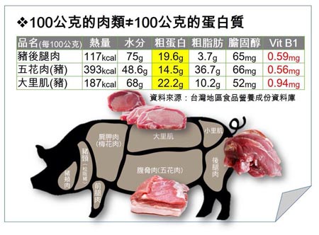 100公克的肉類≠100公克的蛋白質