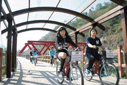 大湖南湖村單車道穿梭在農田和草莓園上方，景致宜人