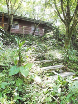 在平林休閒農場的林間小屋，就像在森林裡度假。