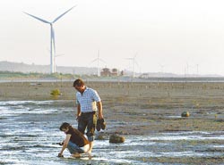 ▲西濱海岸的溼地可挖螃蟹、看風車，感受秋日閒情。攝影  范揚光