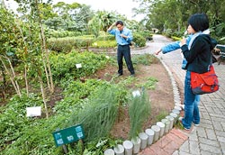 ▲農牧場有一處藥用植物園區，讓遊客認識各種抗蛇毒、抗癌、保肝的植物。攝影  陳志東