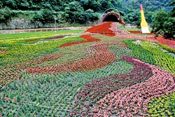 ▲傾洩花園以打翻顏料為意象，構成一幅美麗花海。攝影  王曉鈴